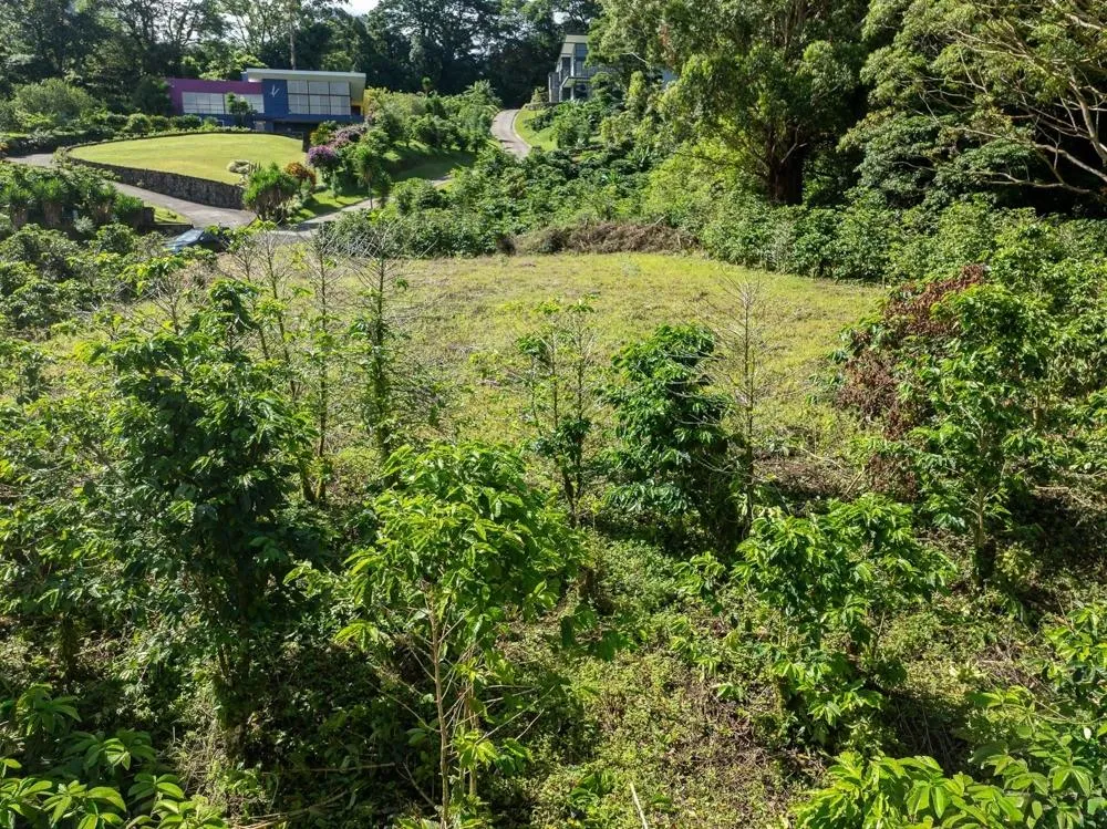 Lote Premium para Construcción de Viviendas en Las Terrazas –Boquete