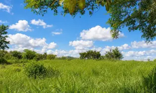 Terreno de 16.113 m² con Vistas al arroyo y a la montaña, Dolega