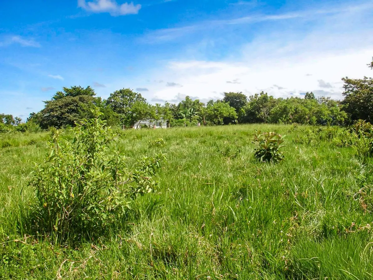 Terreno de 16.113 m² con Vistas al arroyo y a la montaña, Dolega