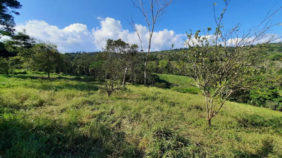 Finca Productiva de 20.55 Hectáreas con Agua Viva y Excelente Ubicación