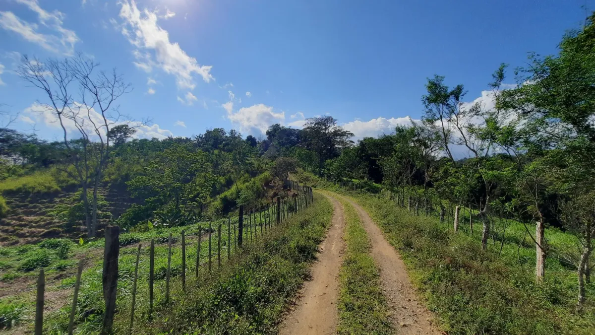 Finca Productiva de 20.55 Hectáreas con Agua Viva y Excelente Ubicación