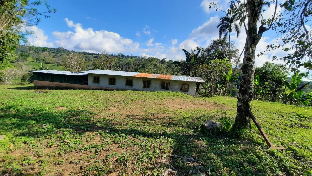 Finca Productiva de 20.55 Hectáreas con Agua Viva y Excelente Ubicación
