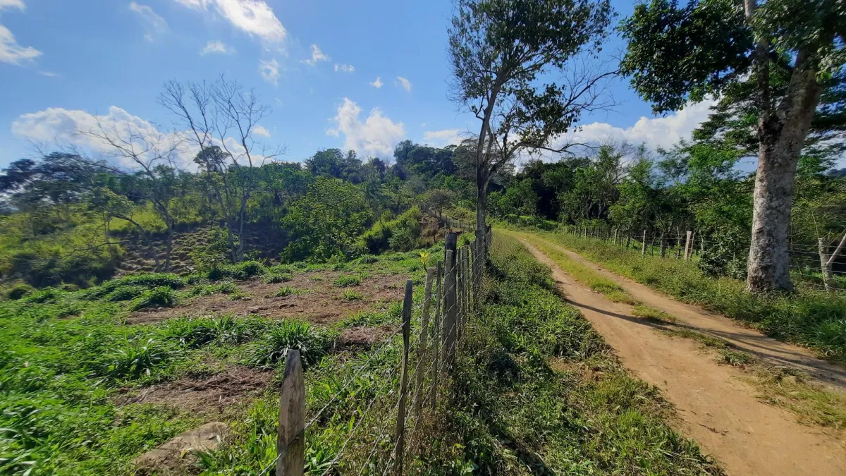 Finca Productiva de 20.55 Hectáreas con Agua Viva y Excelente Ubicación