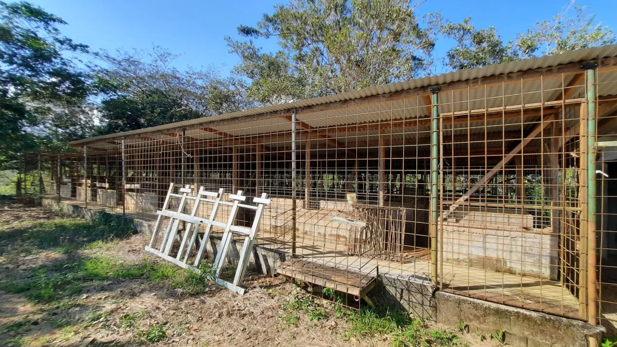 Finca Productiva de 20.55 Hectáreas con Agua Viva y Excelente Ubicación