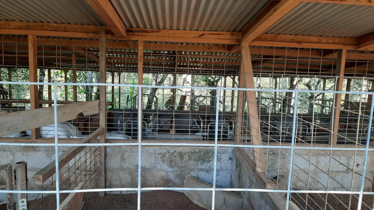Finca Productiva de 20.55 Hectáreas con Agua Viva y Excelente Ubicación
