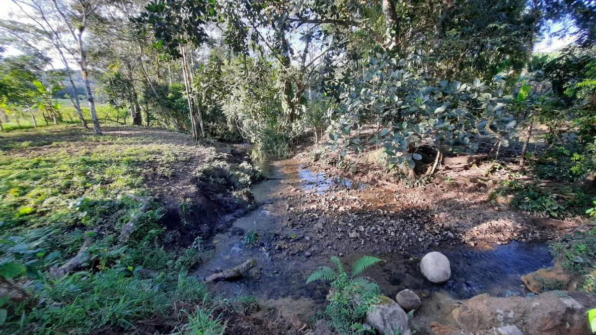 Finca Productiva de 20.55 Hectáreas con Agua Viva y Excelente Ubicación