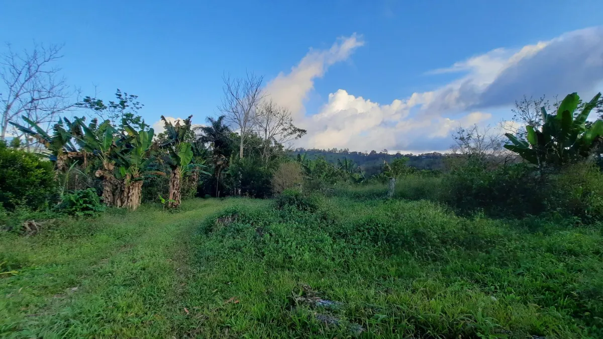 Finca Productiva de 20.55 Hectáreas con Agua Viva y Excelente Ubicación