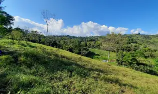 Productive Farm of 20.5 Hectares with Living Water