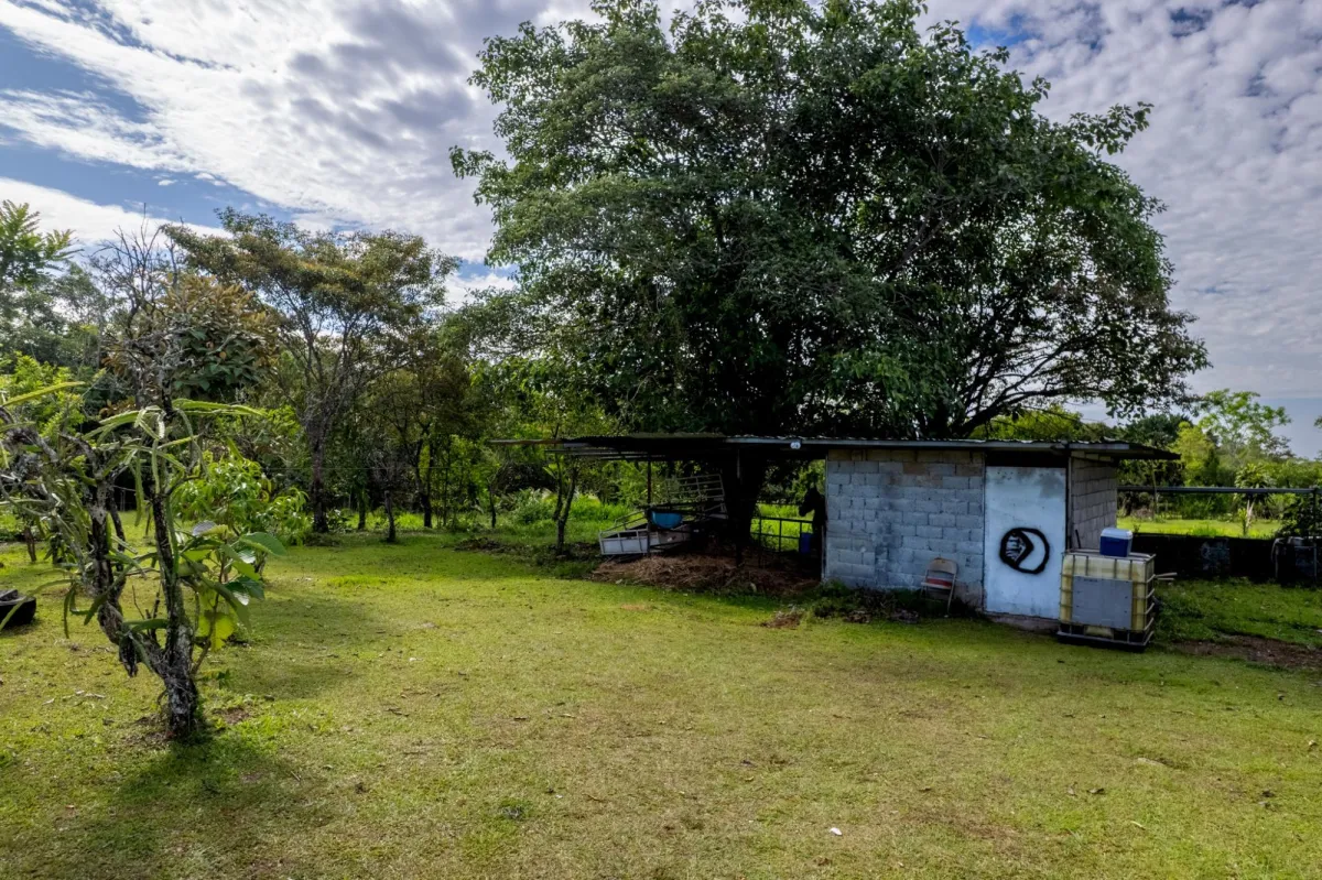 Amplio Terreno con Encantadora Casita en Potrerillos Arriba