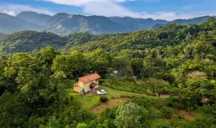 Finca de Café en Venta en El Cascajal, La Pintada