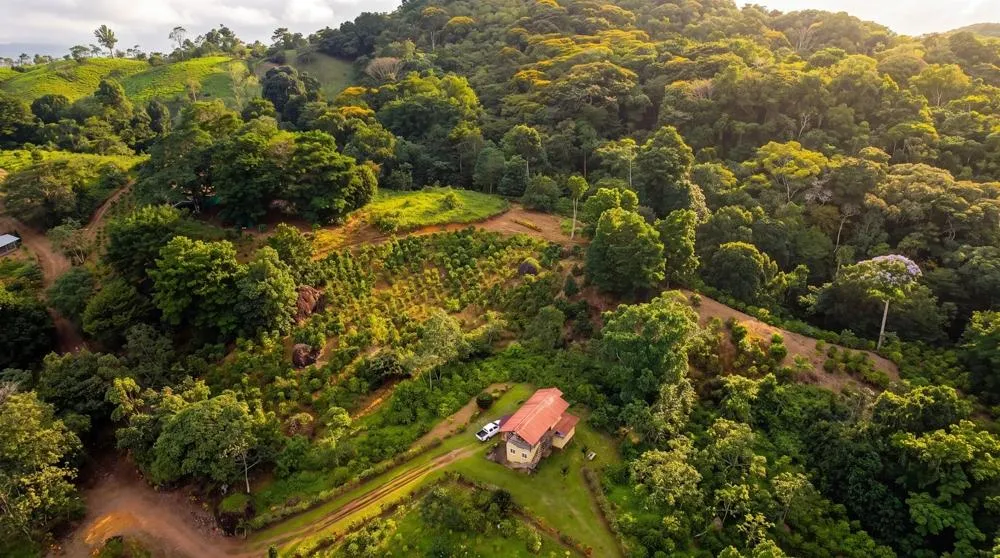 Finca de Café en Venta en El Cascajal, La Pintada