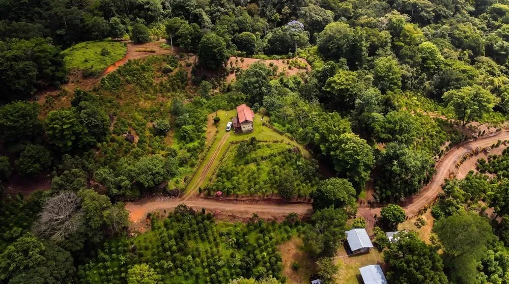 Finca de Café en Venta en El Cascajal, La Pintada