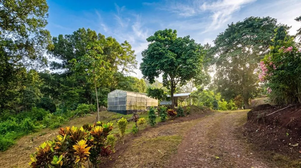 Finca de Café en Venta en El Cascajal, La Pintada
