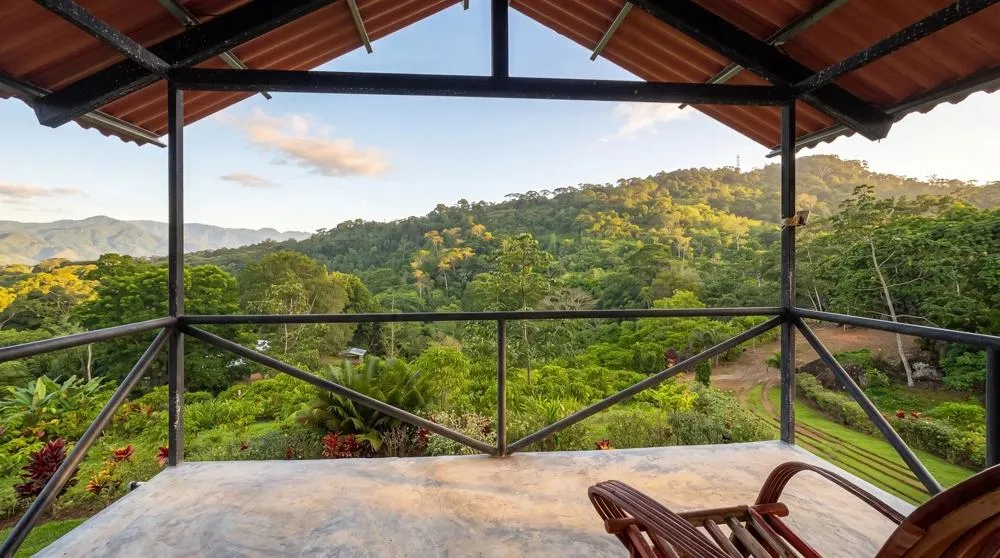 Finca de Café en Venta en El Cascajal, La Pintada