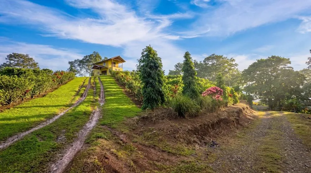 Finca de Café en Venta en El Cascajal, La Pintada