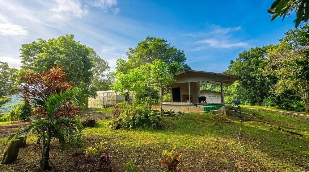 Finca de Café en Venta en El Cascajal, La Pintada