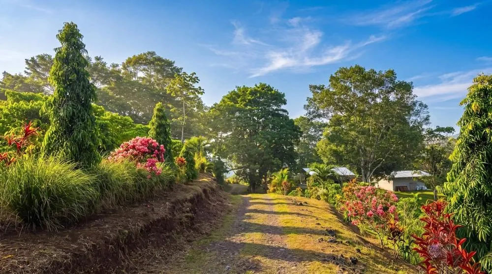 Finca de Café en Venta en El Cascajal, La Pintada