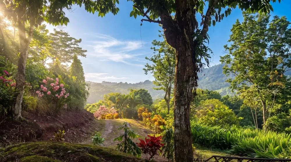 Finca de Café en Venta en El Cascajal, La Pintada