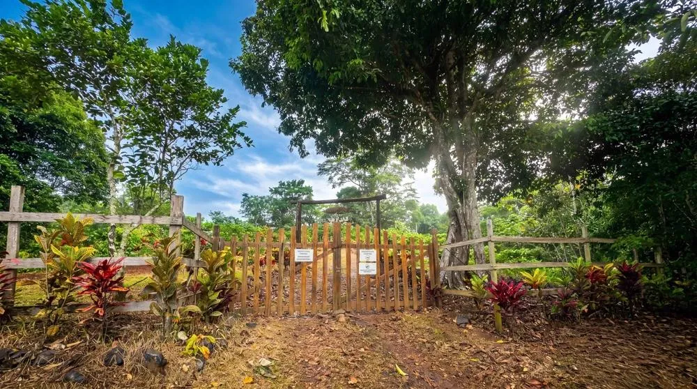 Finca de Café en Venta en El Cascajal, La Pintada