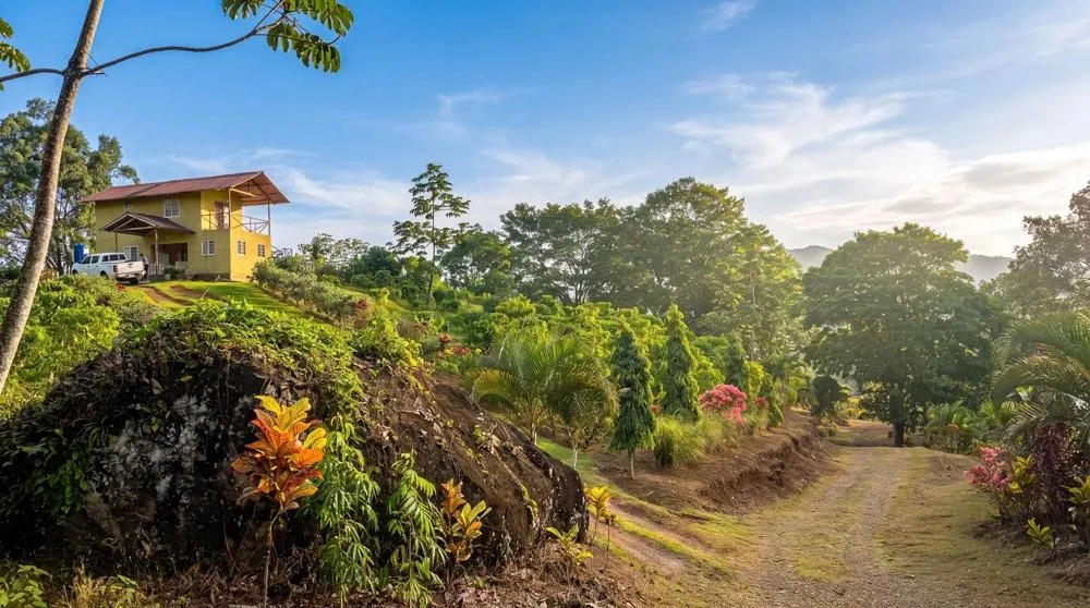 Finca de Café en Venta en El Cascajal, La Pintada