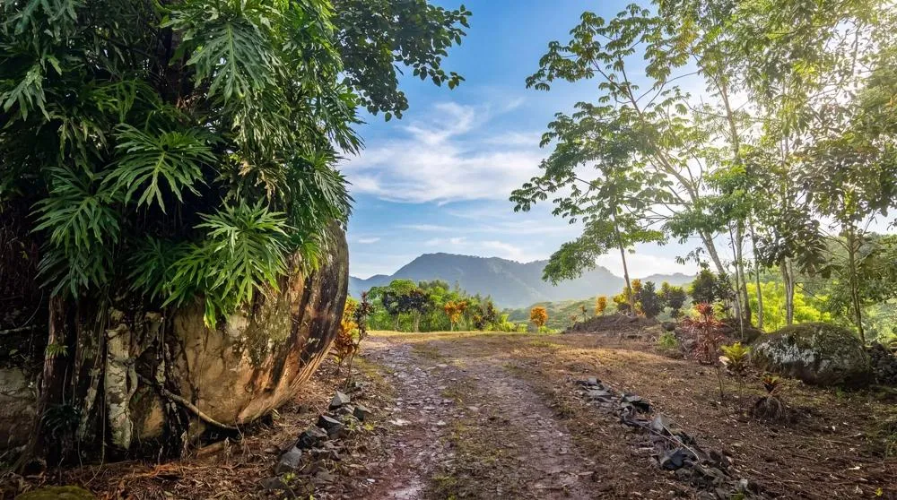 Finca de Café en Venta en El Cascajal, La Pintada