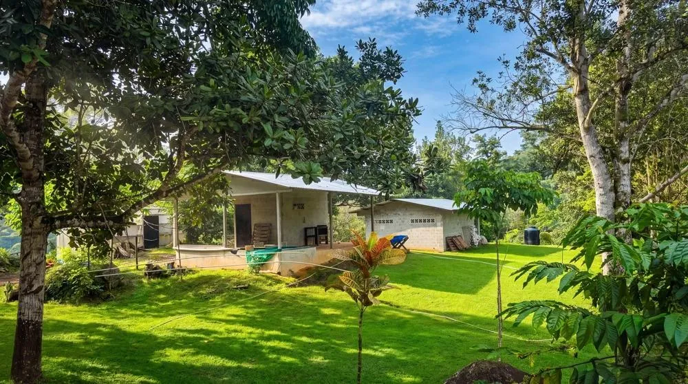 Finca de Café en Venta en El Cascajal, La Pintada