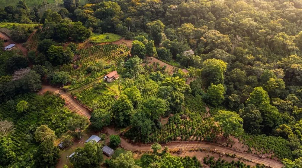 Finca de Café en Venta en El Cascajal, La Pintada