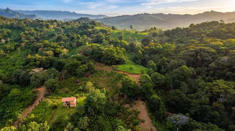 Finca de Café en Venta en El Cascajal, La Pintada