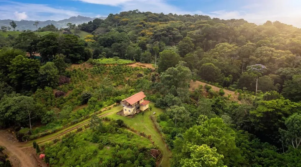 Finca de Café en Venta en El Cascajal, La Pintada