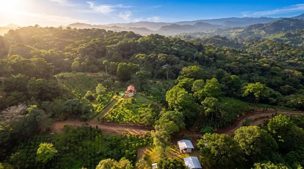 Finca de Café en Venta en El Cascajal, La Pintada