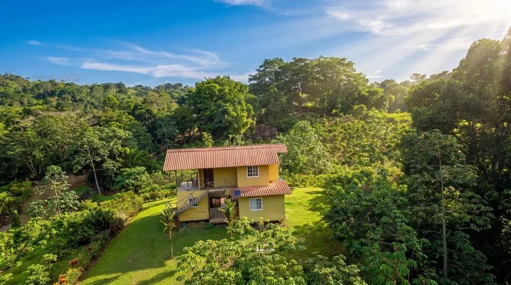 Finca de Café en Venta en El Cascajal, La Pintada