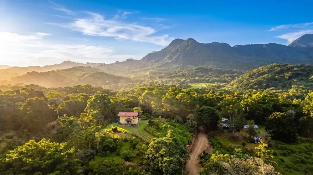 Finca de Café en Venta en El Cascajal, La Pintada