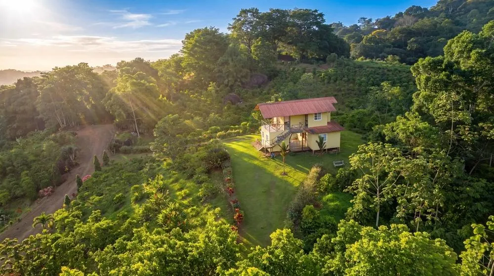 Finca de Café en Venta en El Cascajal, La Pintada