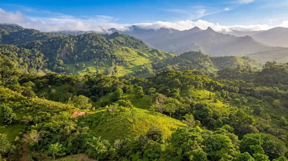 Finca de Café en Venta en El Cascajal, La Pintada