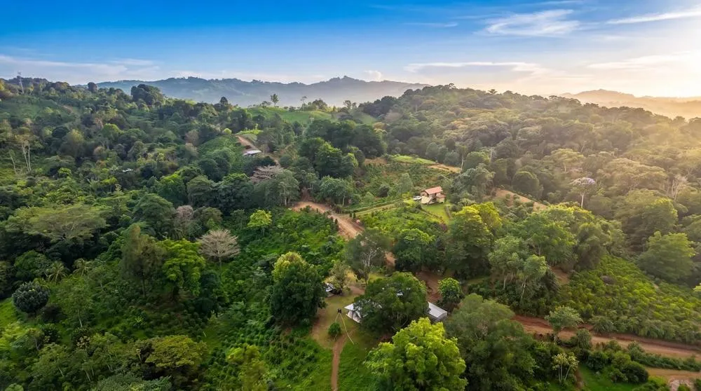 Finca de Café en Venta en El Cascajal, La Pintada