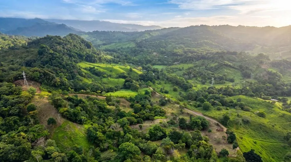 Finca de Café en Venta en El Cascajal, La Pintada