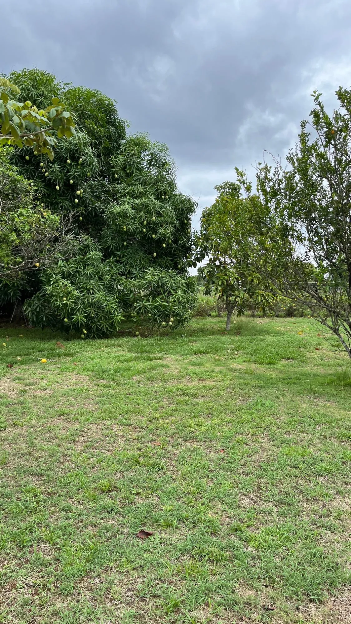 Farm with Residence in Ocú