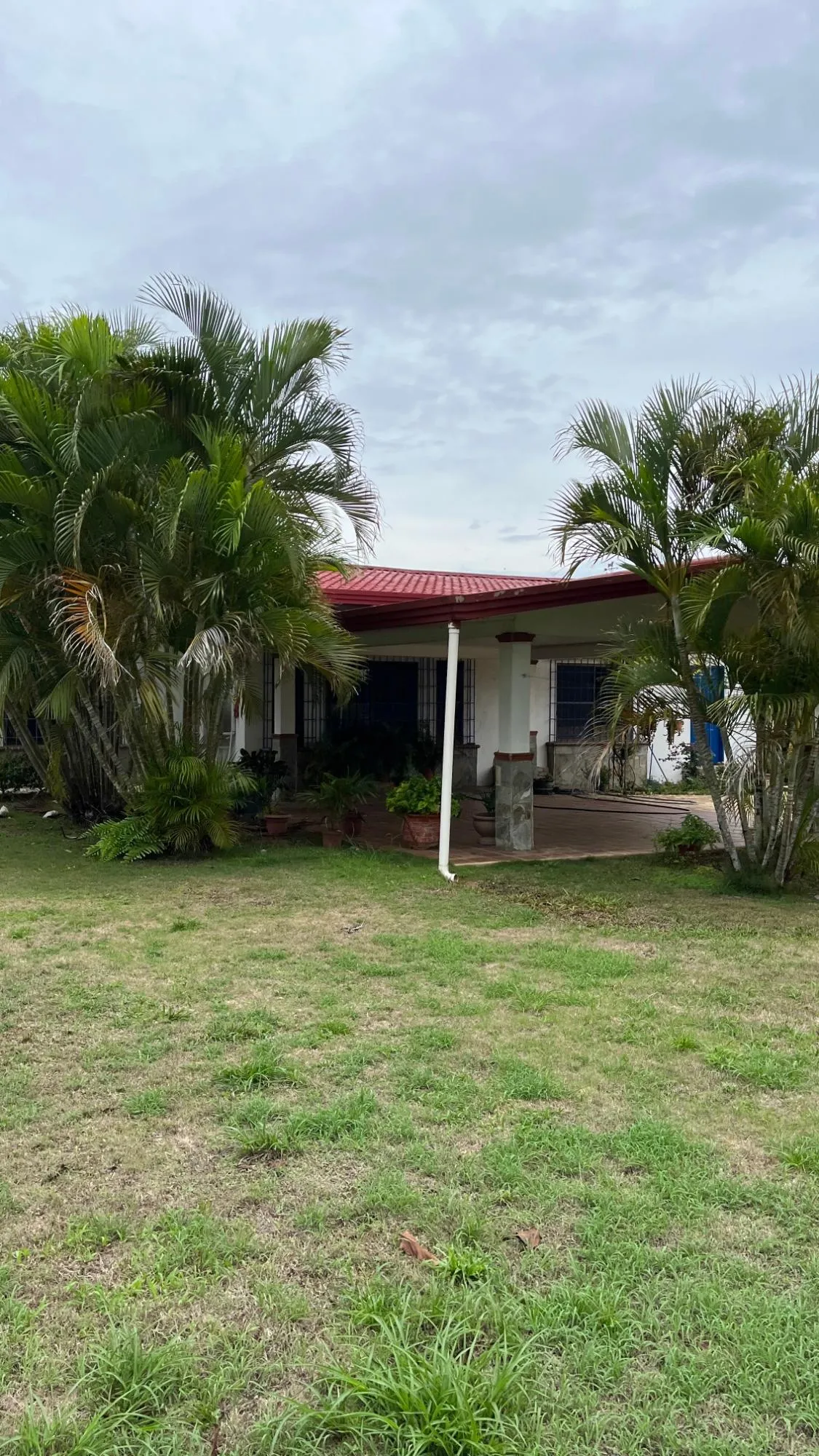Farm with Residence in Ocú
