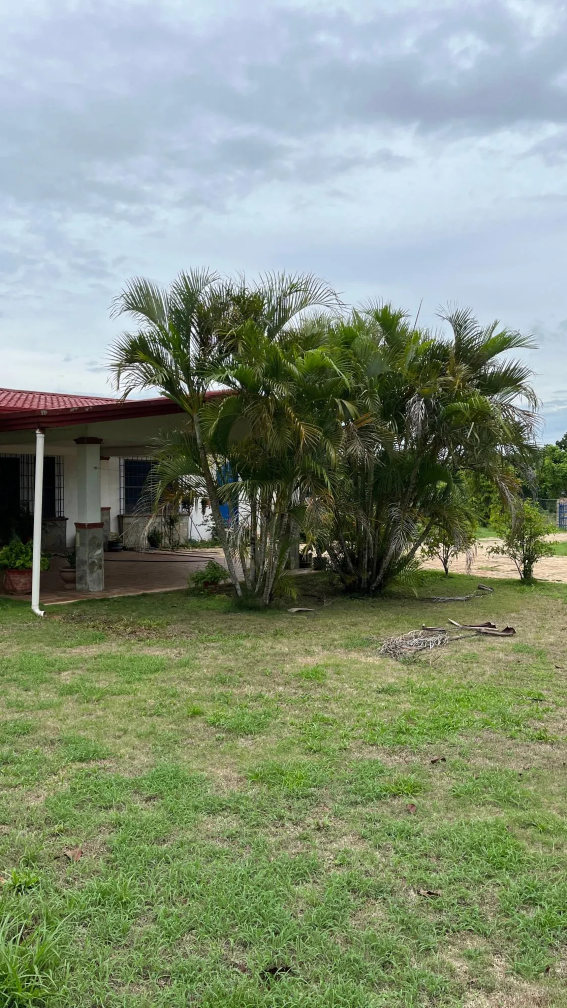 Farm with Residence in Ocú