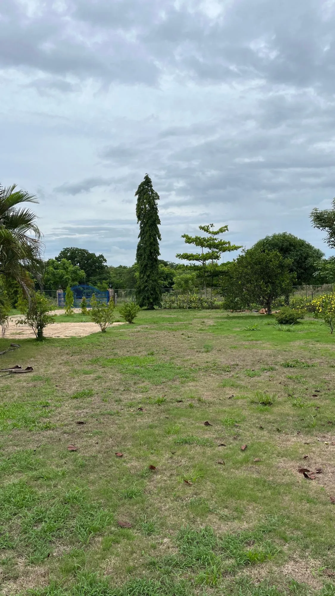 Farm with Residence in Ocú