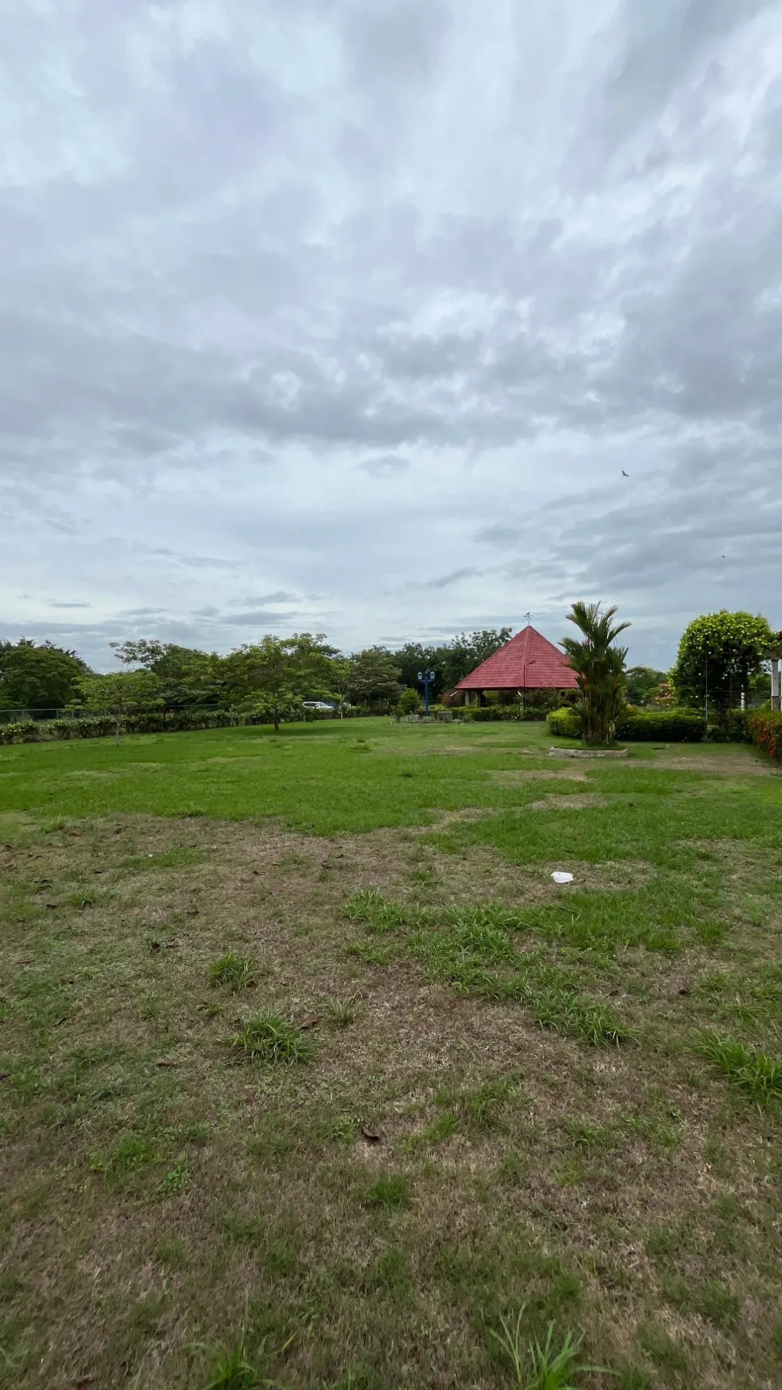 Farm with Residence in Ocú