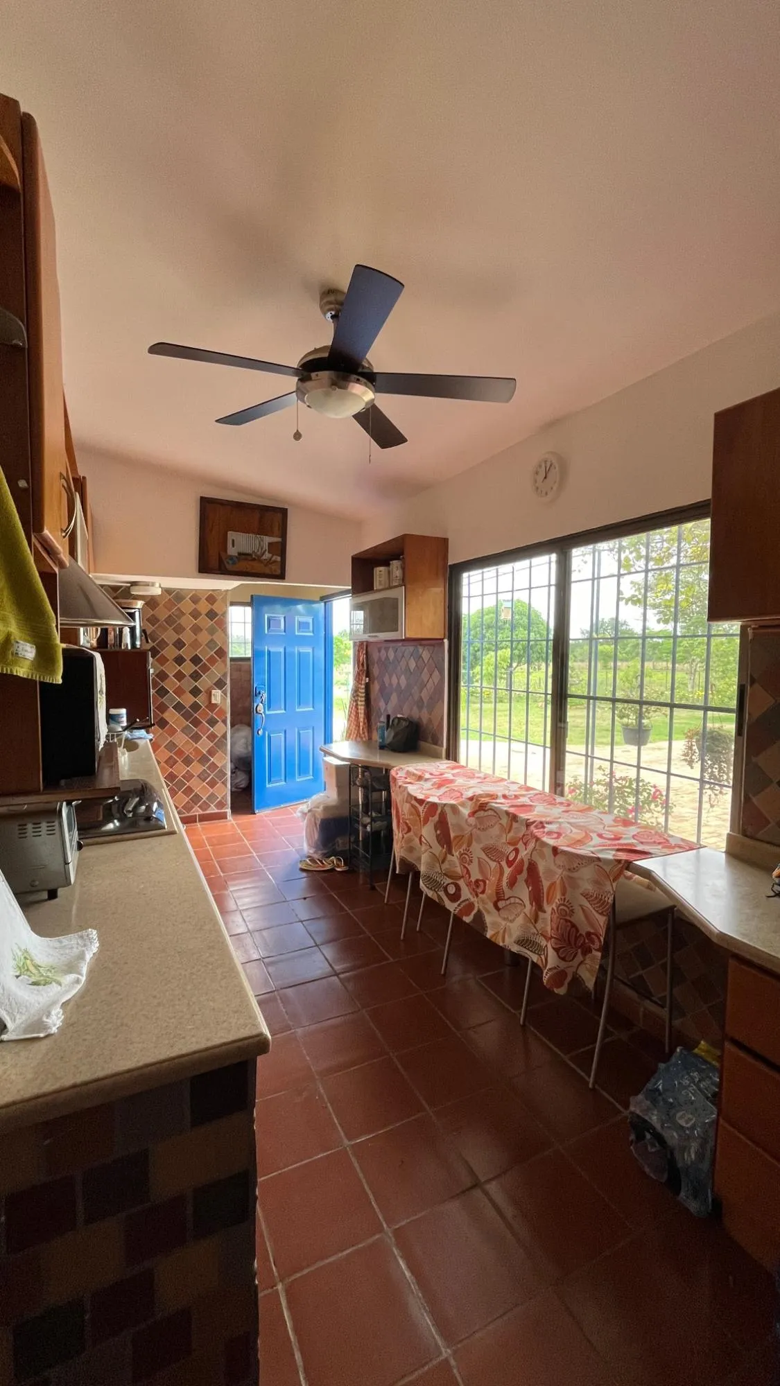 Farm with Residence in Ocú