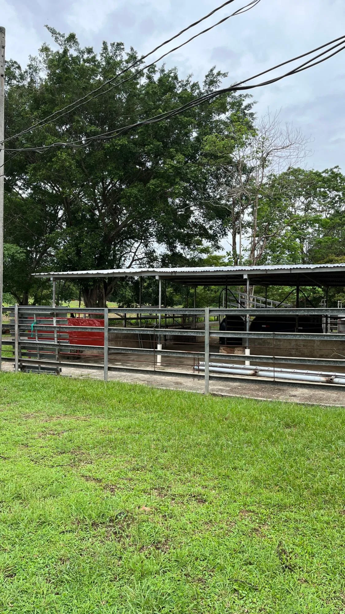Farm with Residence in Ocú