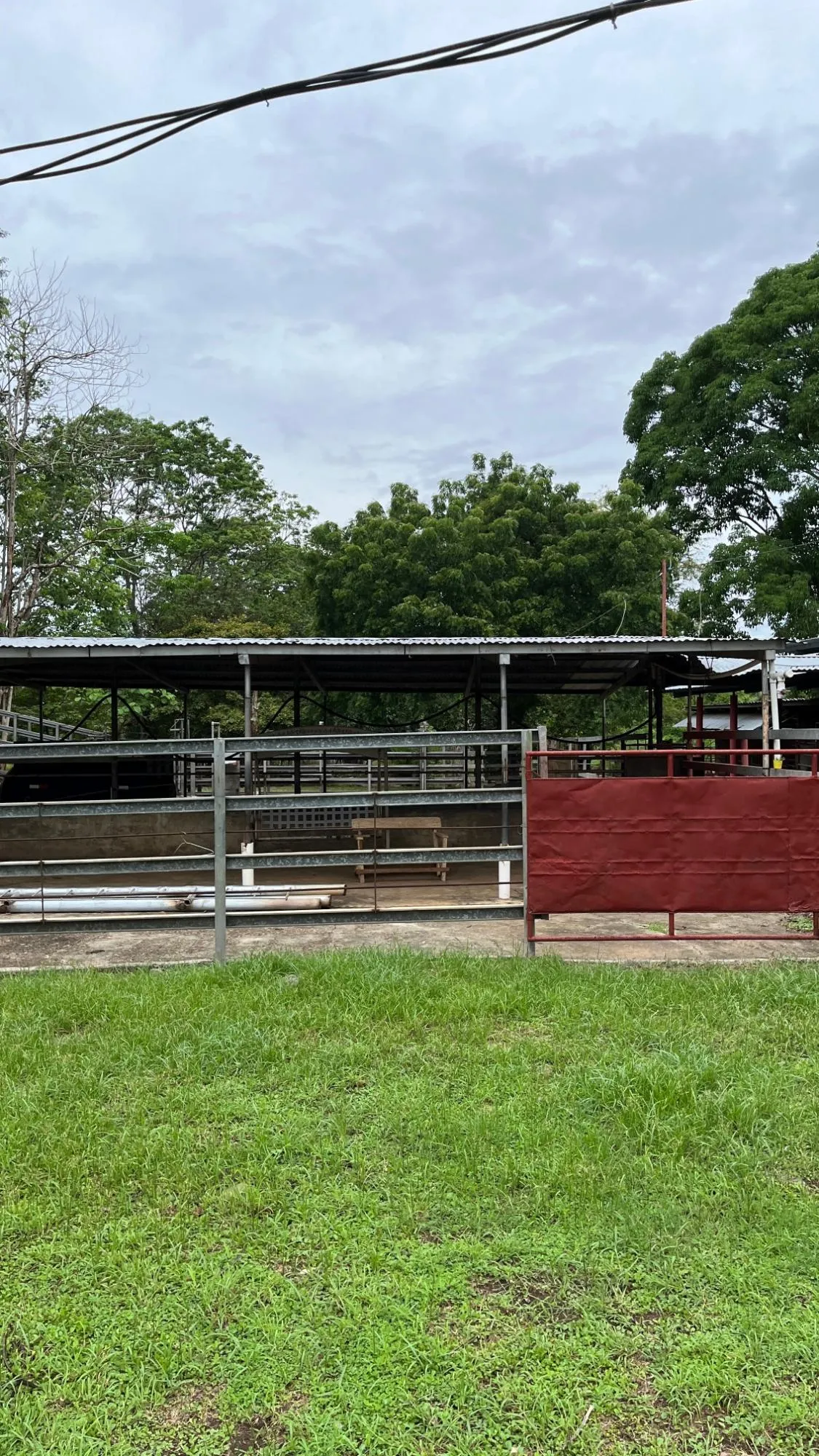 Farm with Residence in Ocú