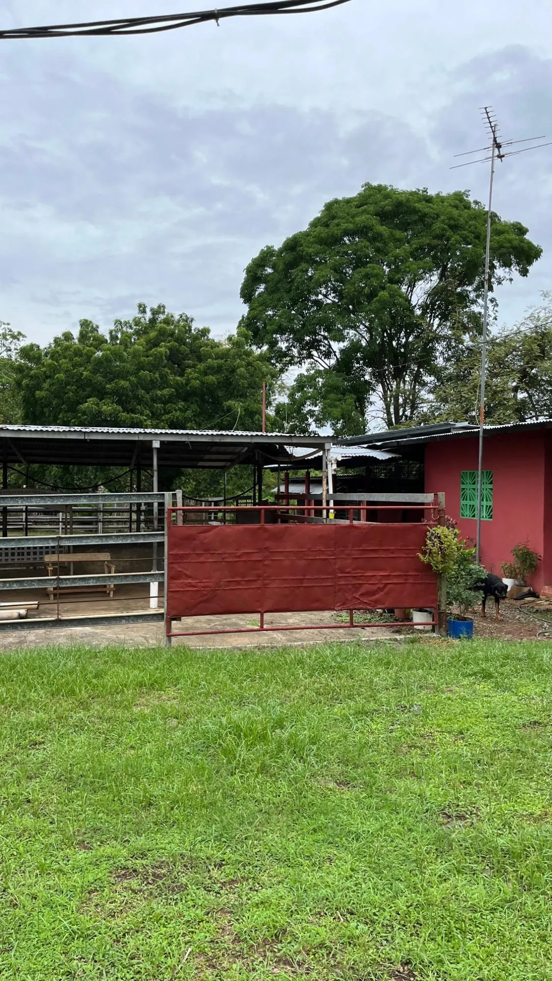 Farm with Residence in Ocú