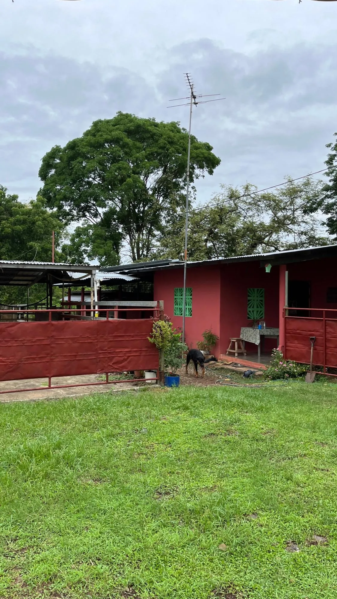 Farm with Residence in Ocú