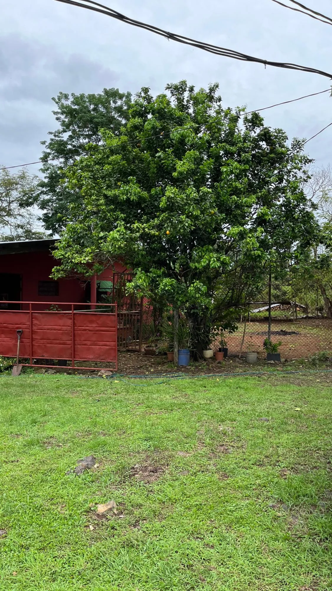 Farm with Residence in Ocú
