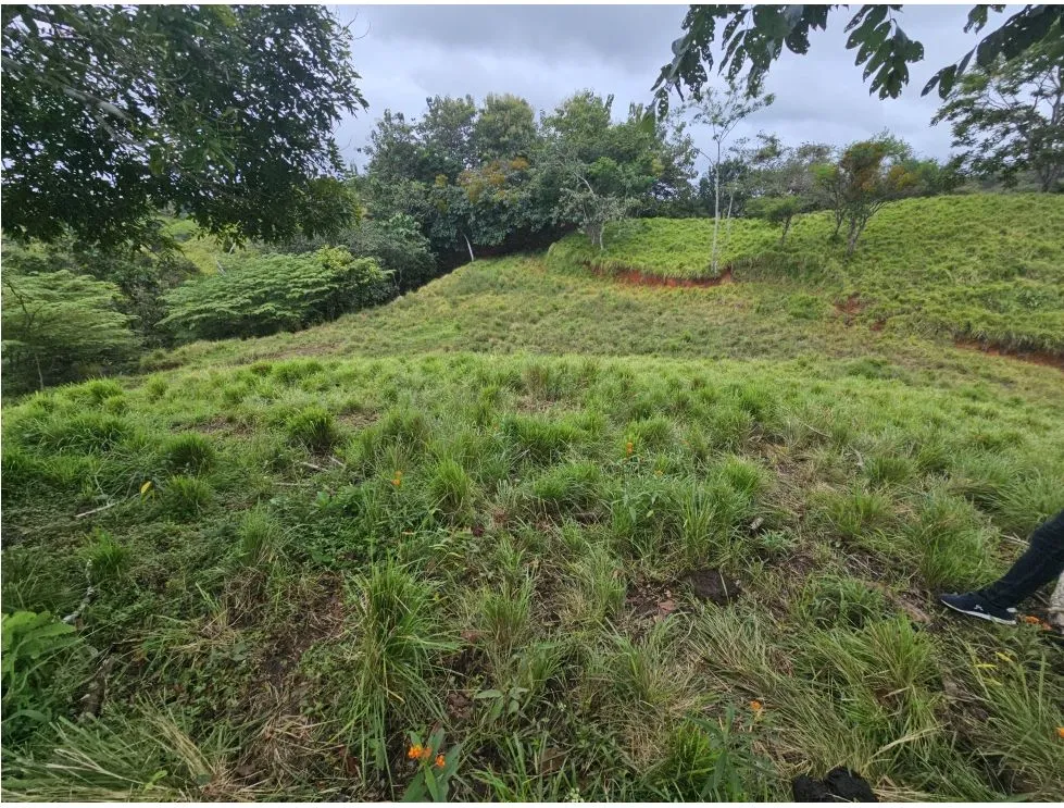 Land Sale in Pedasí, Minutes from Playa Venao