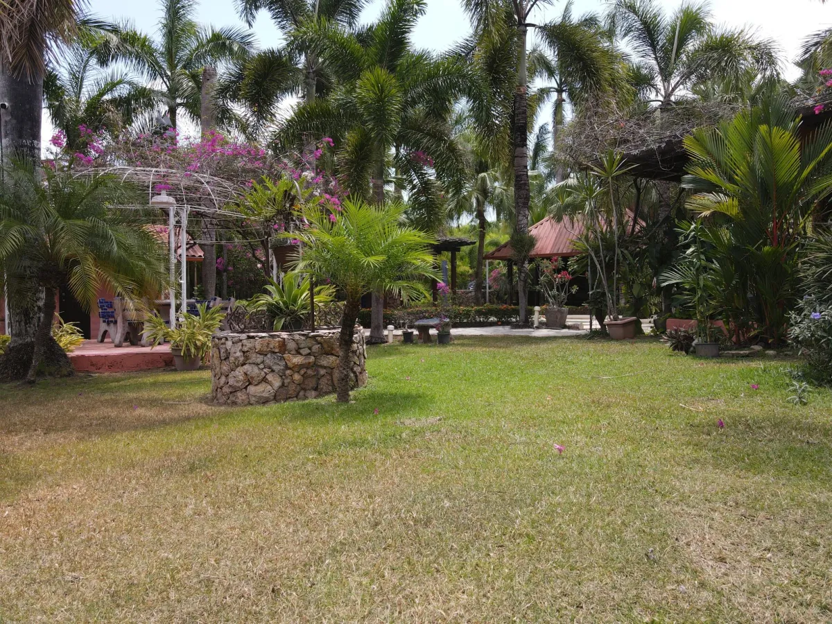 Se Vende Casa con plantación en Nueva Gorgona, Chame