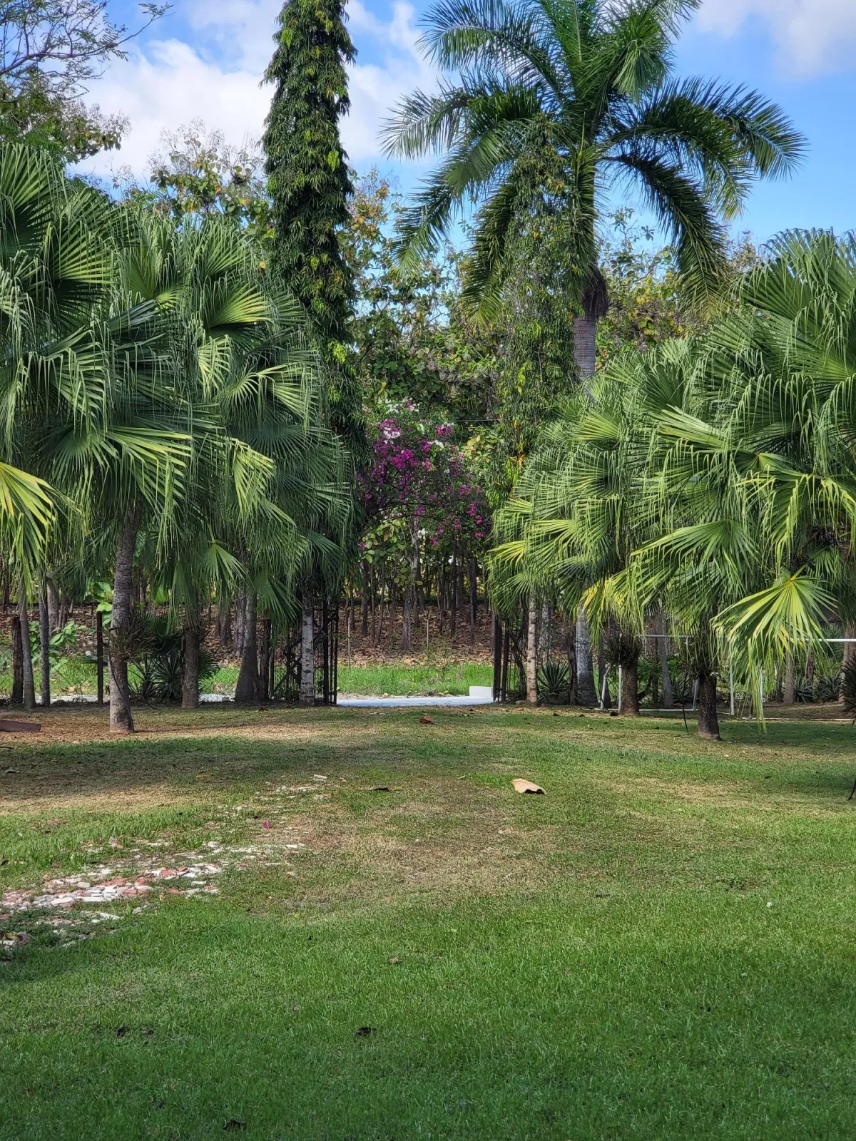 Se Vende Casa con plantación en Nueva Gorgona, Chame